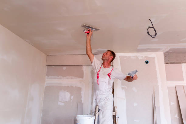 Best Repainting for Renovations  in Jackson, TN